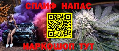 гашик Ливны