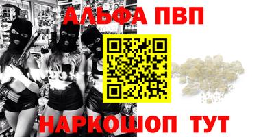 гашик Ливны
